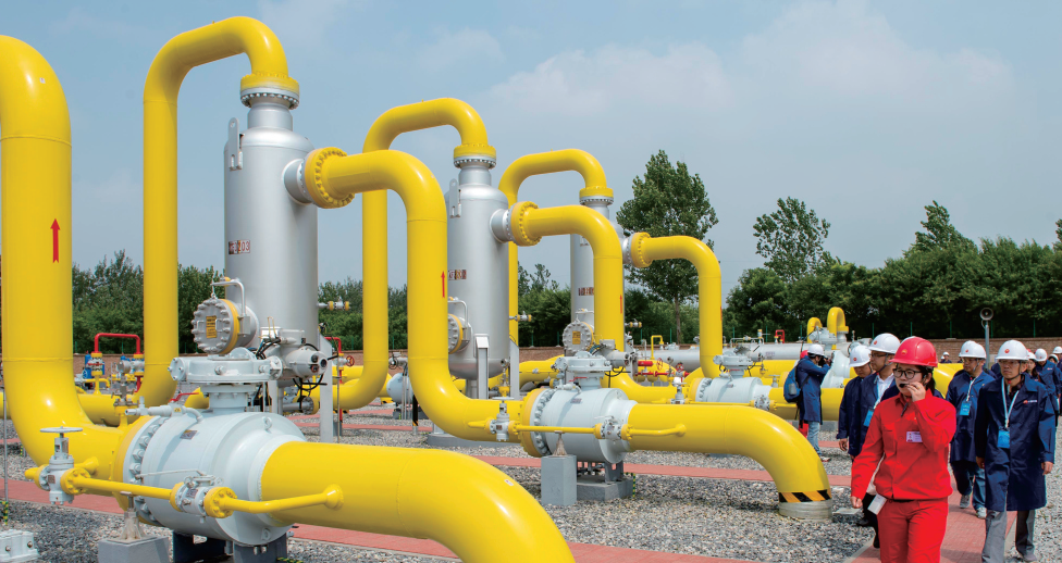 1598594935548999.jpg 1598594690(1).jpg